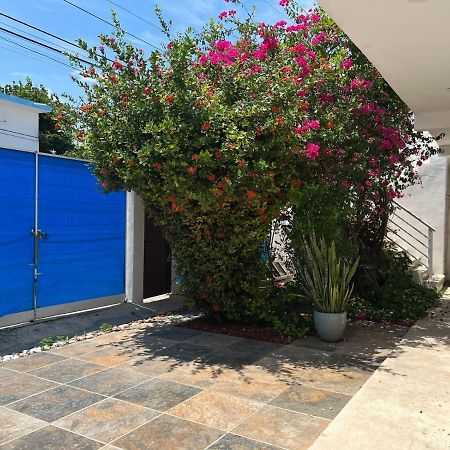 普拉亚卡门Casa Nuria公寓 外观 照片